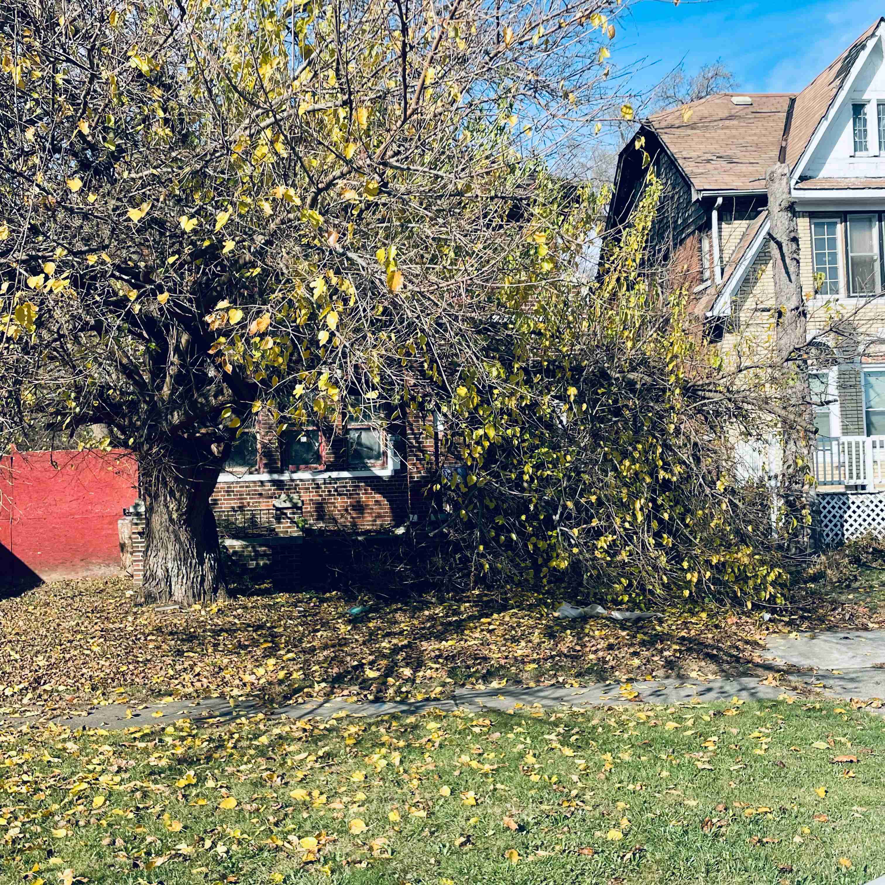 2638 Glendale (3)_edited.jpg